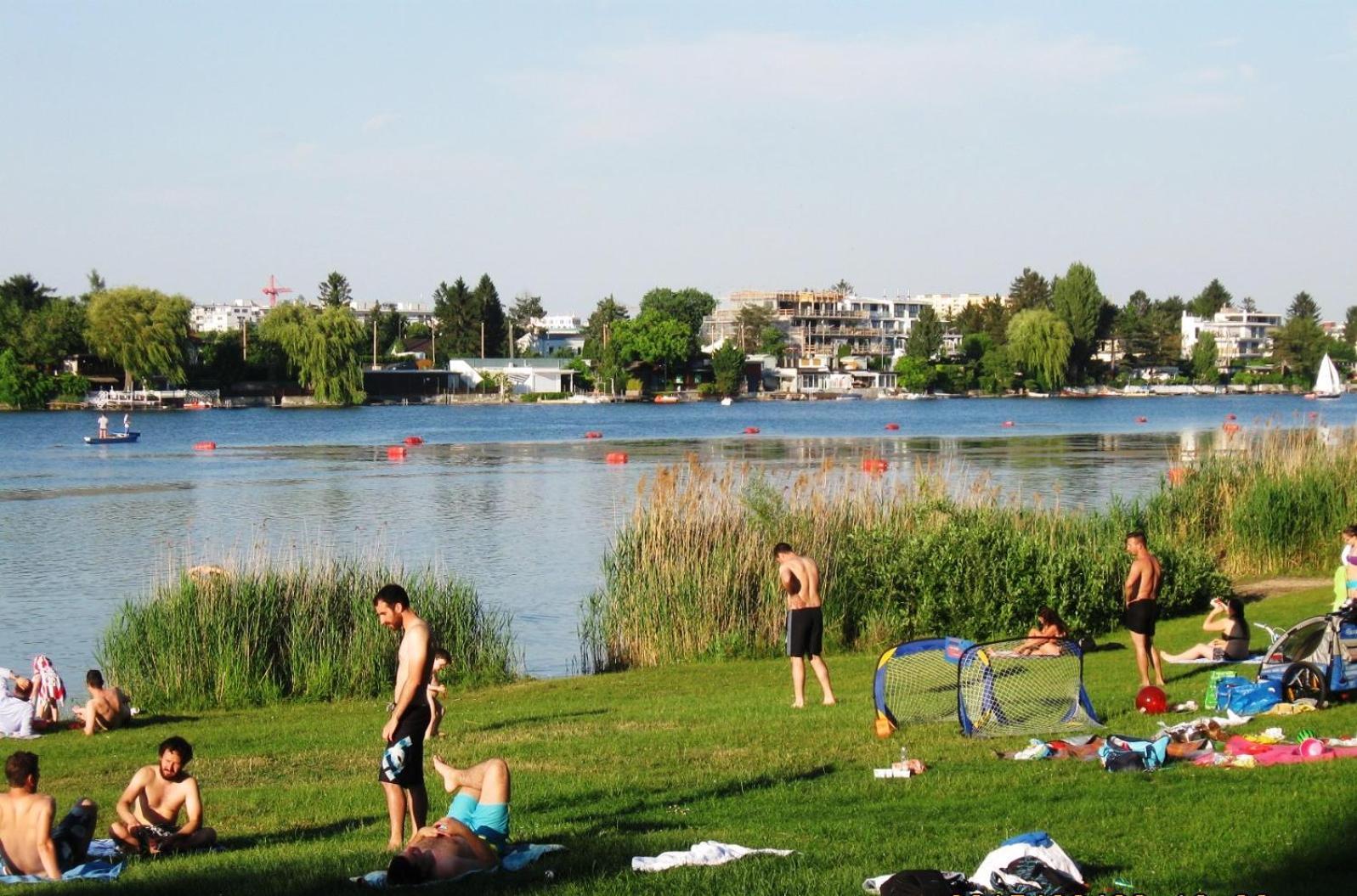 Appartamento Yuki's Place - Un-vic, Danube And Subway Near To Downtown